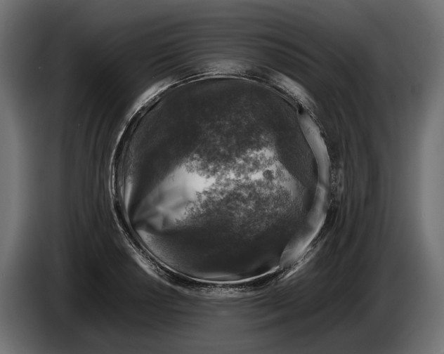 X0000086081034200704132058