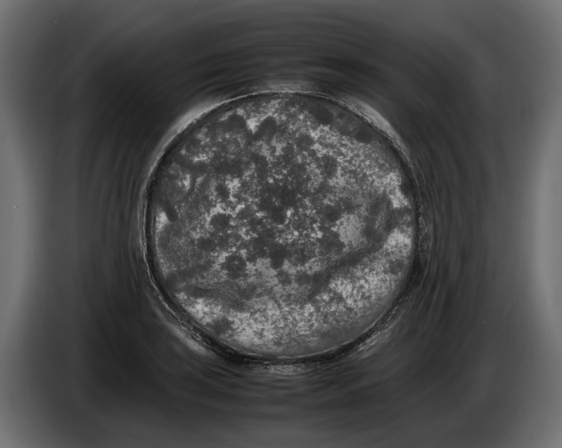 X0000086081035200704132058