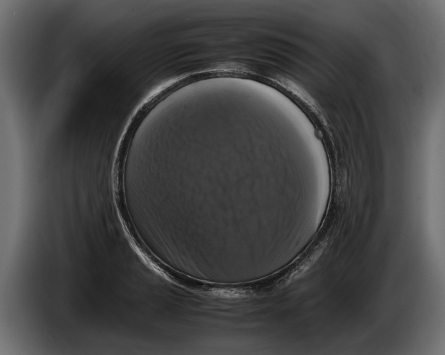 X0000086081037200704132058