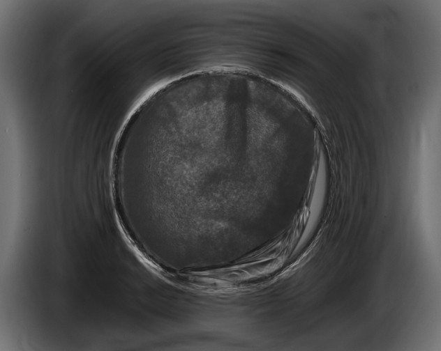 X0000086081038200704132058