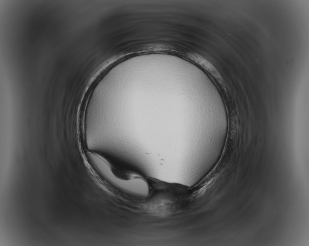 X0000086081039200704132058