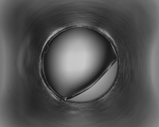 X0000086081040200704132058