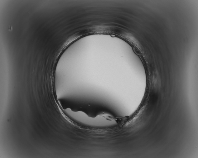 X0000086081041200704132058