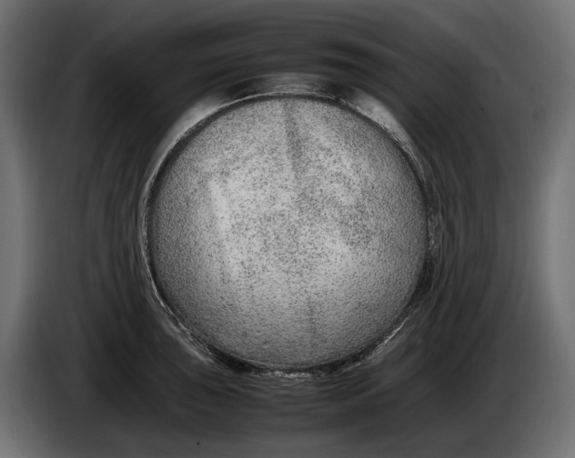 X0000086081043200704132058