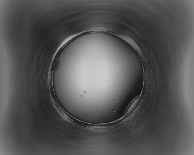 X0000086081044200704132058