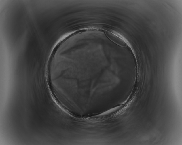 X0000086081045200704132058