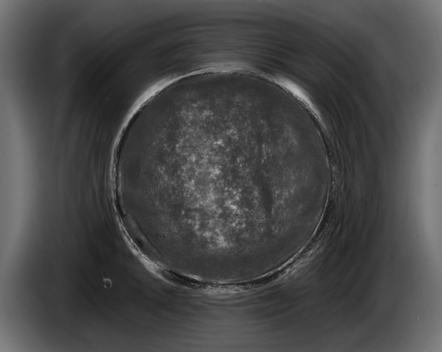 X0000086081046200704132058