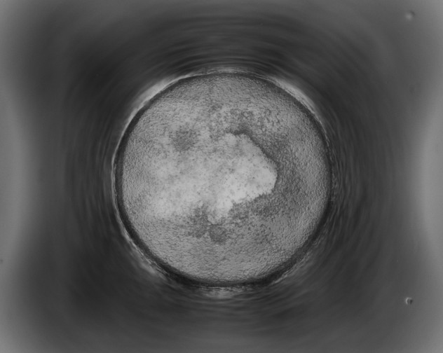 X0000086081047200704132058