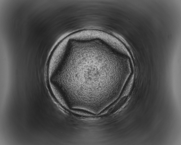 X0000086081048200704132058