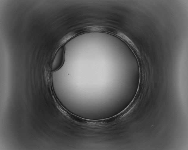 X0000086081049200704132058