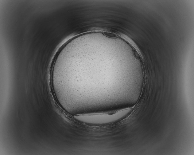 X0000086081051200704132058