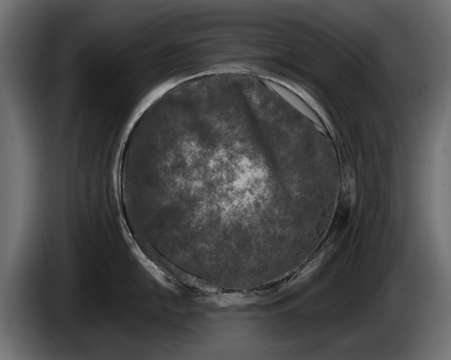 X0000086081054200704132058