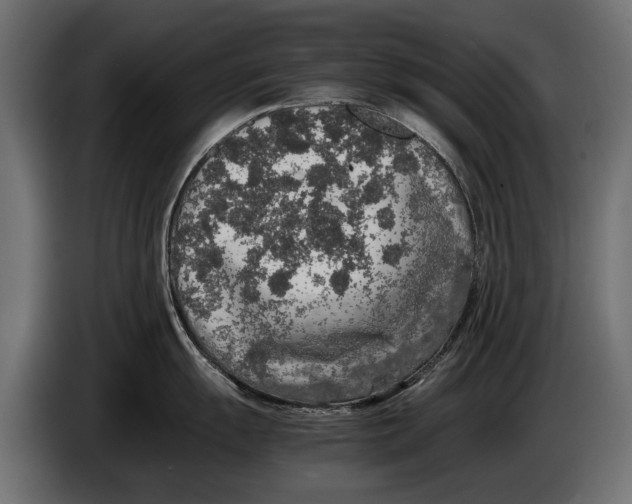 X0000086081055200704132058