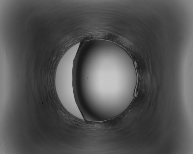 X0000086081058200704132058