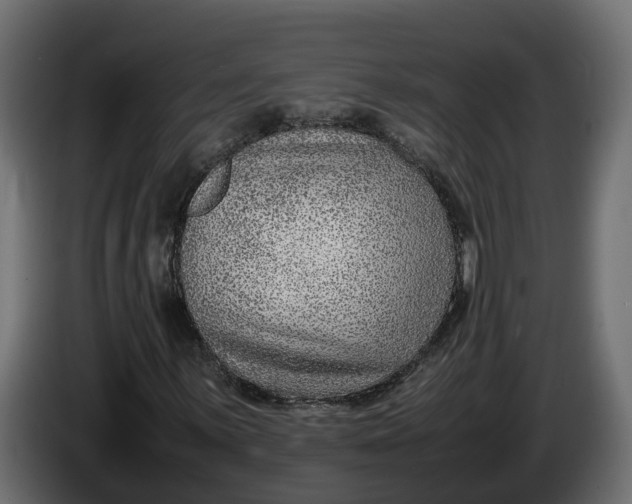 X0000086081059200704132058