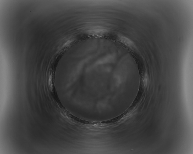 X0000086081060200704132058