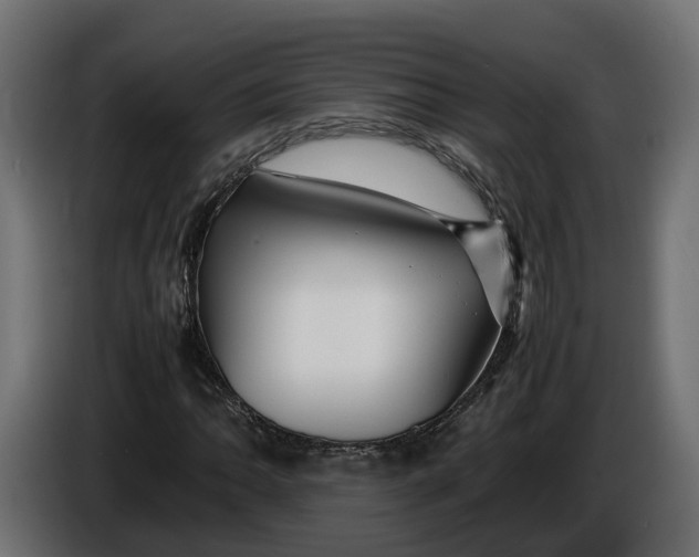 X0000086081062200704132058