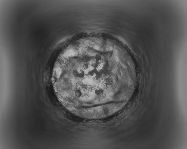 X0000086081063200704132057