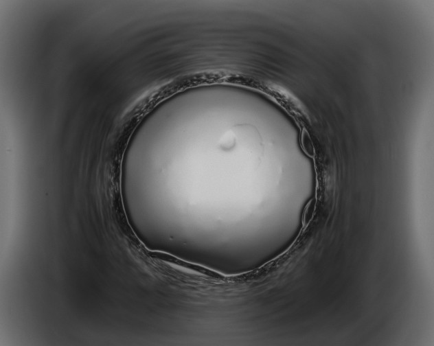 X0000086081064200704132057