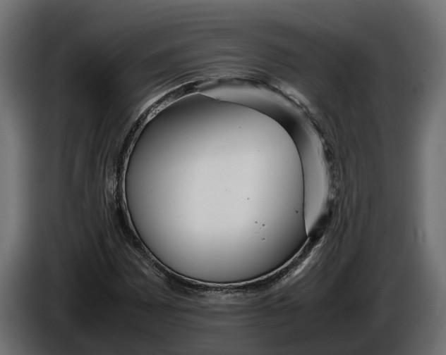 X0000086081065200704132057