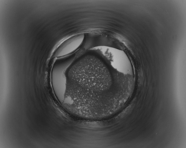 X0000086081066200704132057