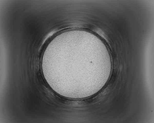 X0000086081067200704132057