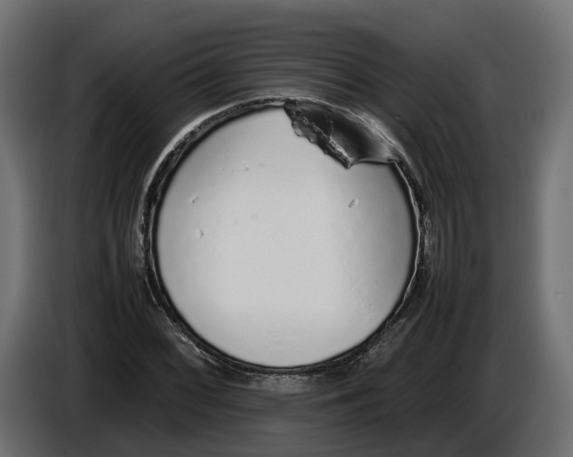 X0000086081068200704132057