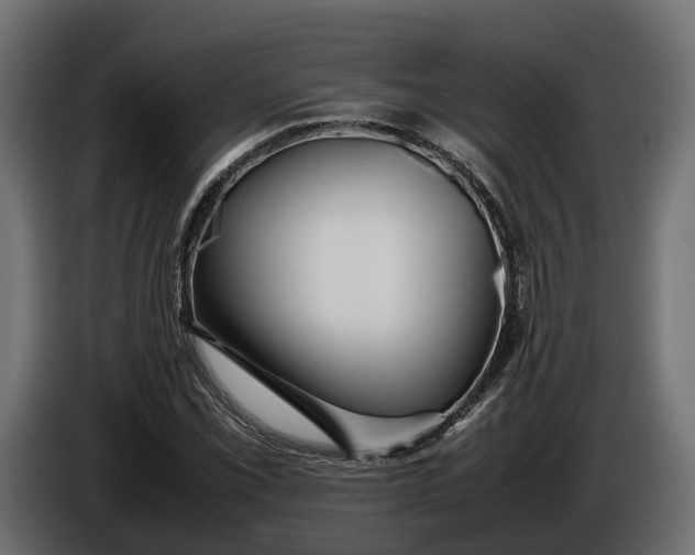 X0000086081069200704132057