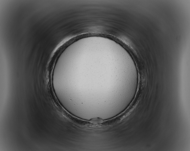 X0000086081070200704132057