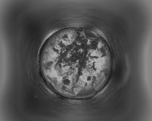 X0000086081071200704132057