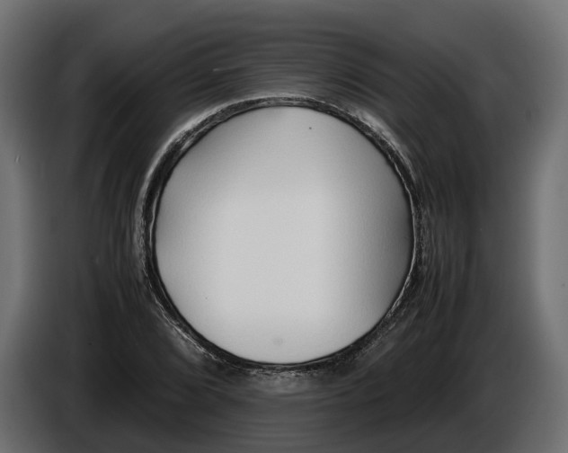 X0000086081072200704132057