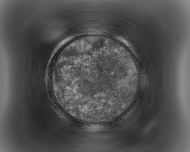 X0000086081074200704132057