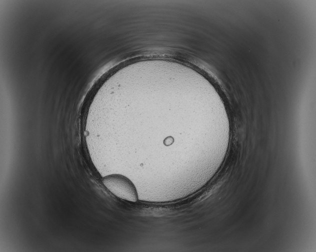 X0000086081075200704132057