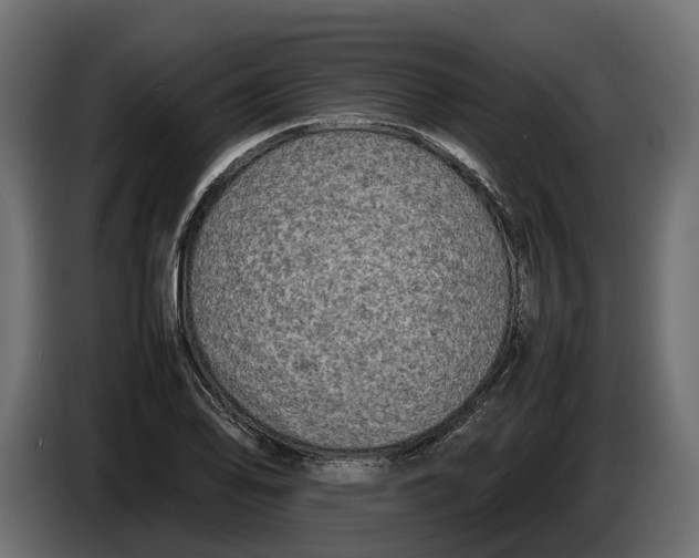 X0000086081078200704132057