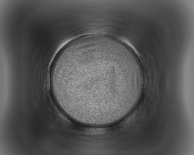 X0000086081079200704132057