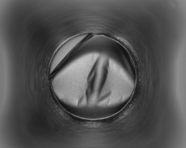 X0000086081081200704132057