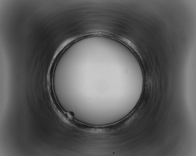 X0000086081082200704132057