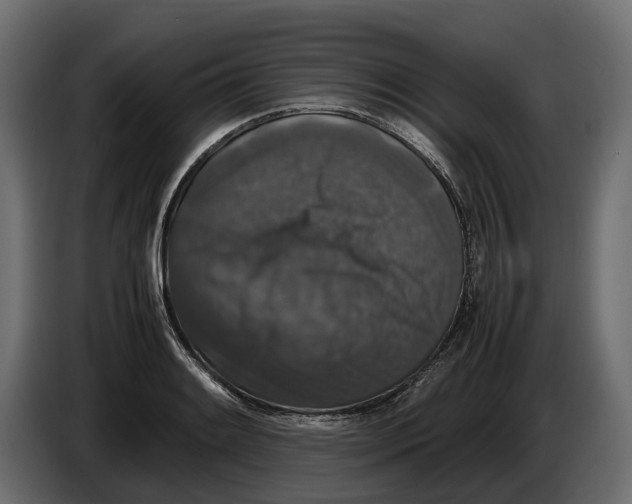 X0000086081084200704132057