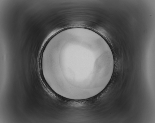 X0000086081086200704132057