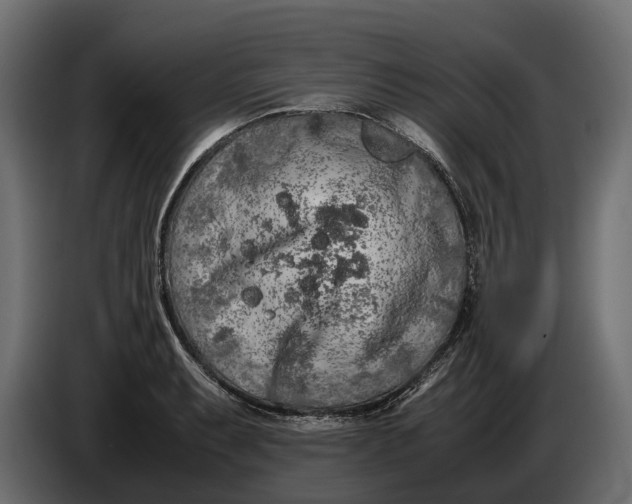 X0000086081087200704132057