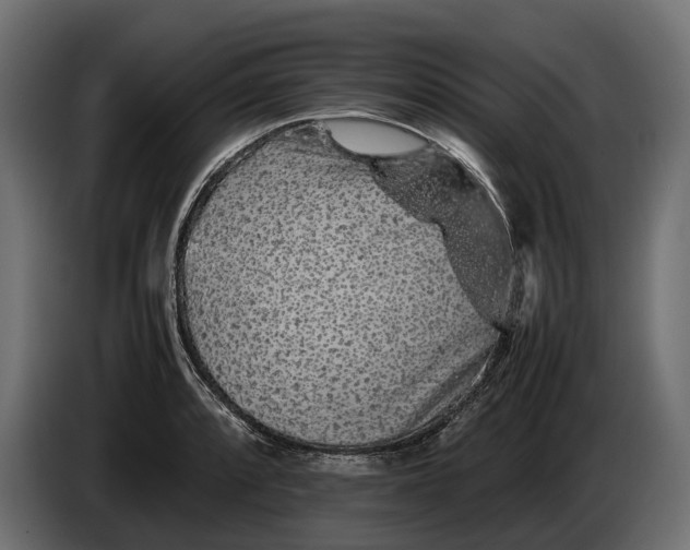 X0000086081088200704132057