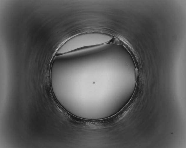 X0000086081089200704132057