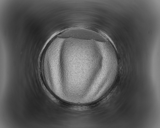 X0000086081091200704132057