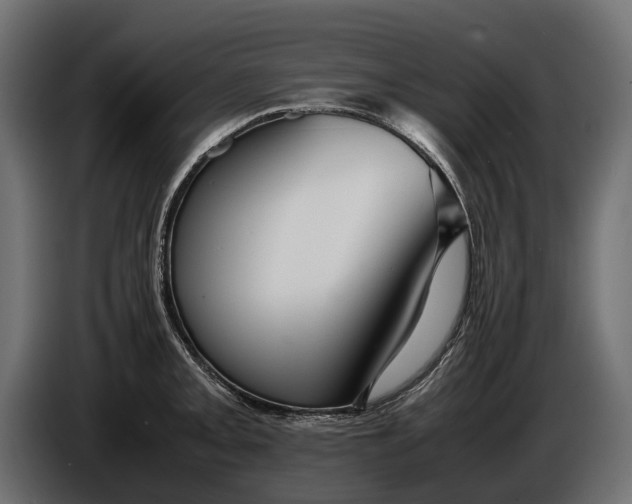 X0000086081093200704132057