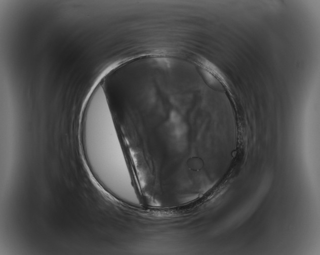 X0000086081095200704132057