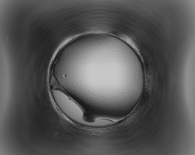 X0000086081096200704132057