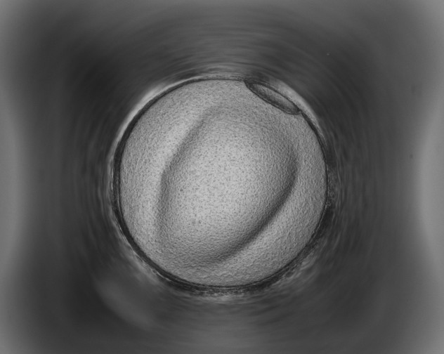 X0000086081099200704132057