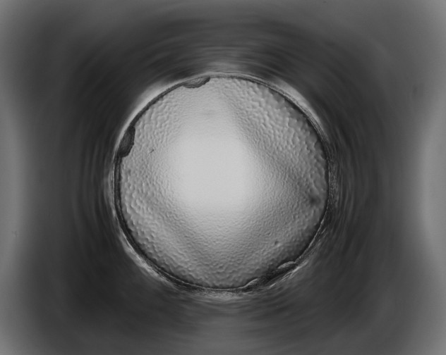 X0000086081100200704132057