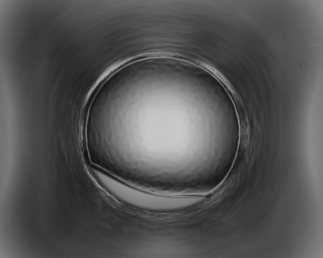 X0000086081101200704132057