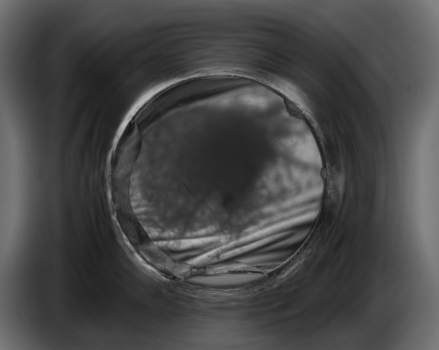 X0000086081102200704132057